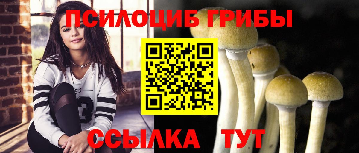 Псилоцибиновые грибы Magic Shrooms Уварово